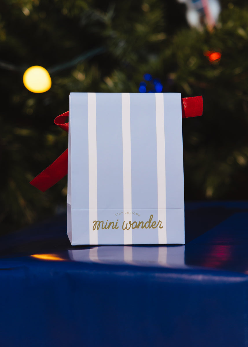 Mini Holiday Packaging  - 2 Pack Small