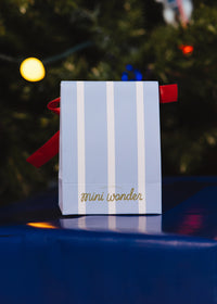 Mini Holiday Packaging  - 2 Pack Small