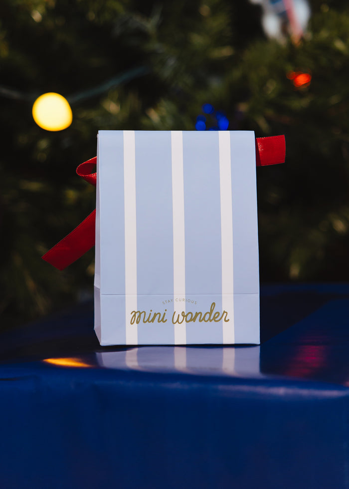 Mini Holiday Packaging  - 2 Pack Small