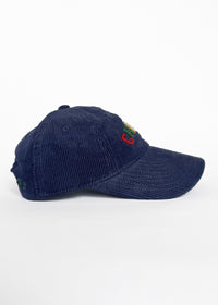 Youth Sweet Home Chicago Dad Hat - Navy