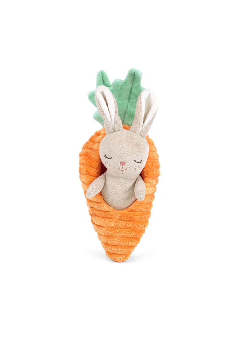 Bunny In Carrot Plushie Activity Toy