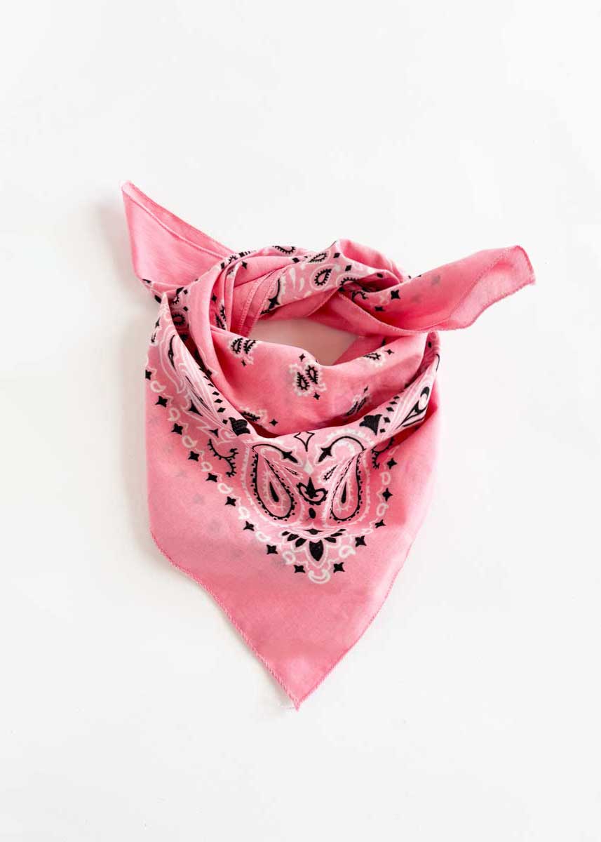 Embroidered Bandana - Light Pink Paisley