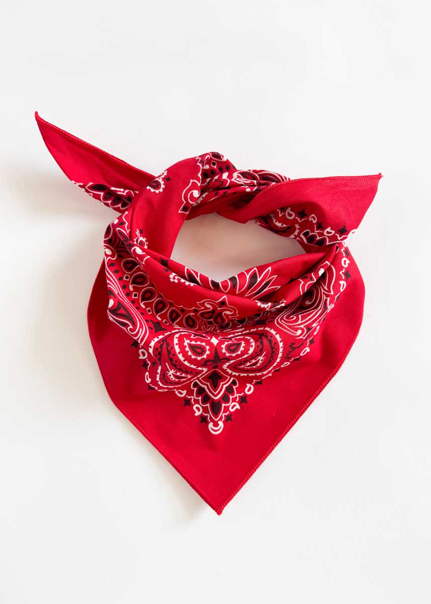 Embroidered Bandana - Red Paisley