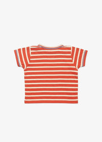 Willie Baby T-Shirt - Red Sport Stripe