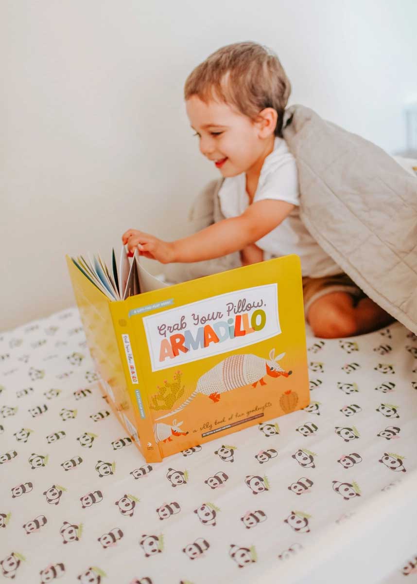 Grab Your Pillow, Armadillo Book