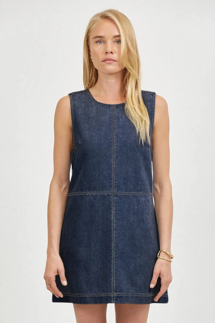 Adelin Denim Mini Dress