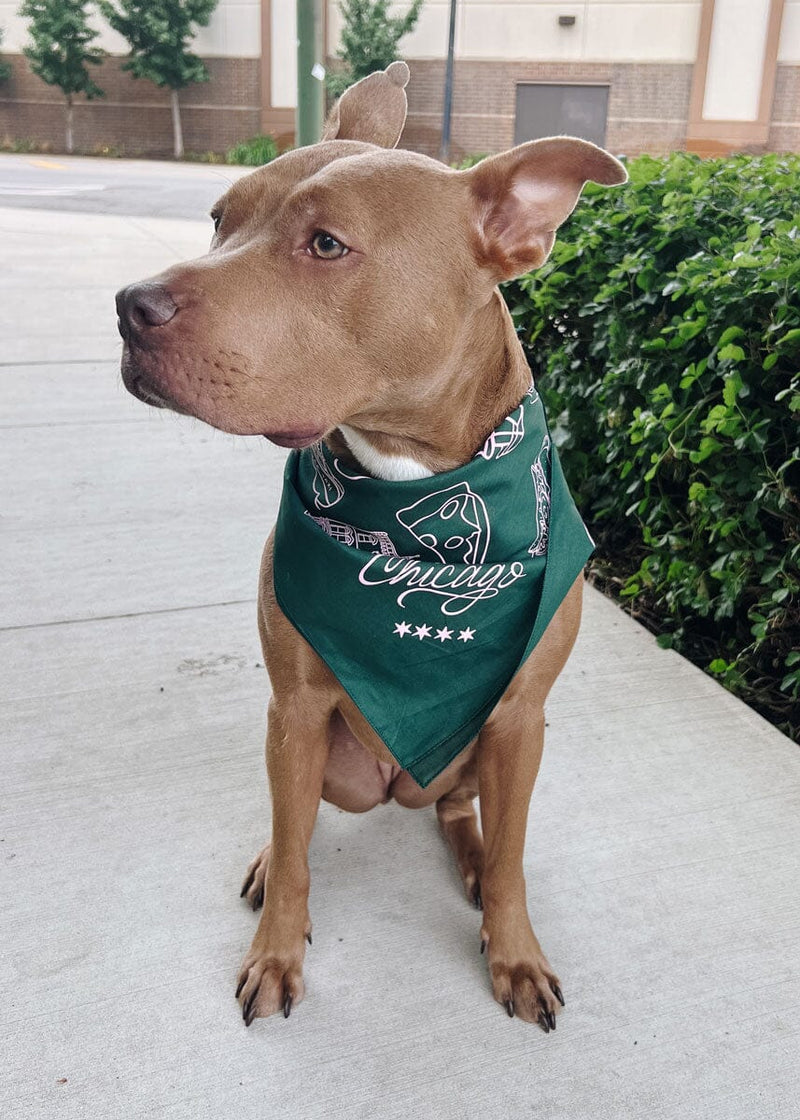 Chicago Doggie Bandana