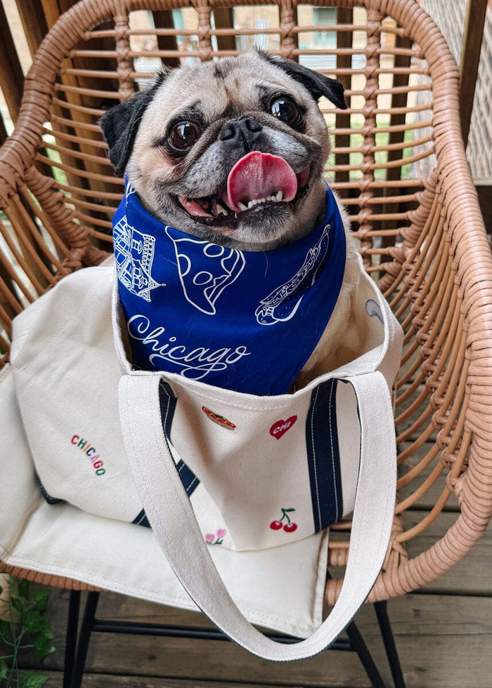 Chicago Doggie Bandana