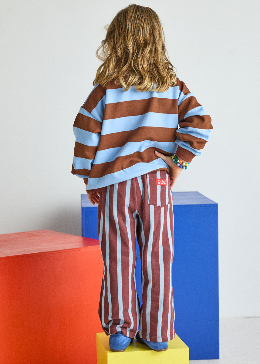 Striped Sweatshirt - Light Blue & Brown