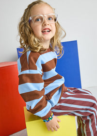 Striped Sweatshirt - Light Blue & Brown