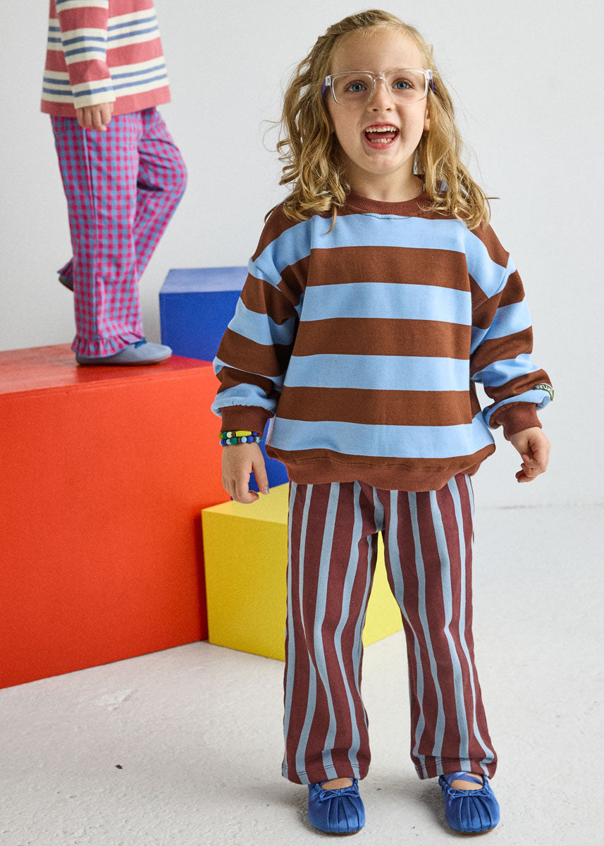Striped Sweatshirt - Light Blue & Brown