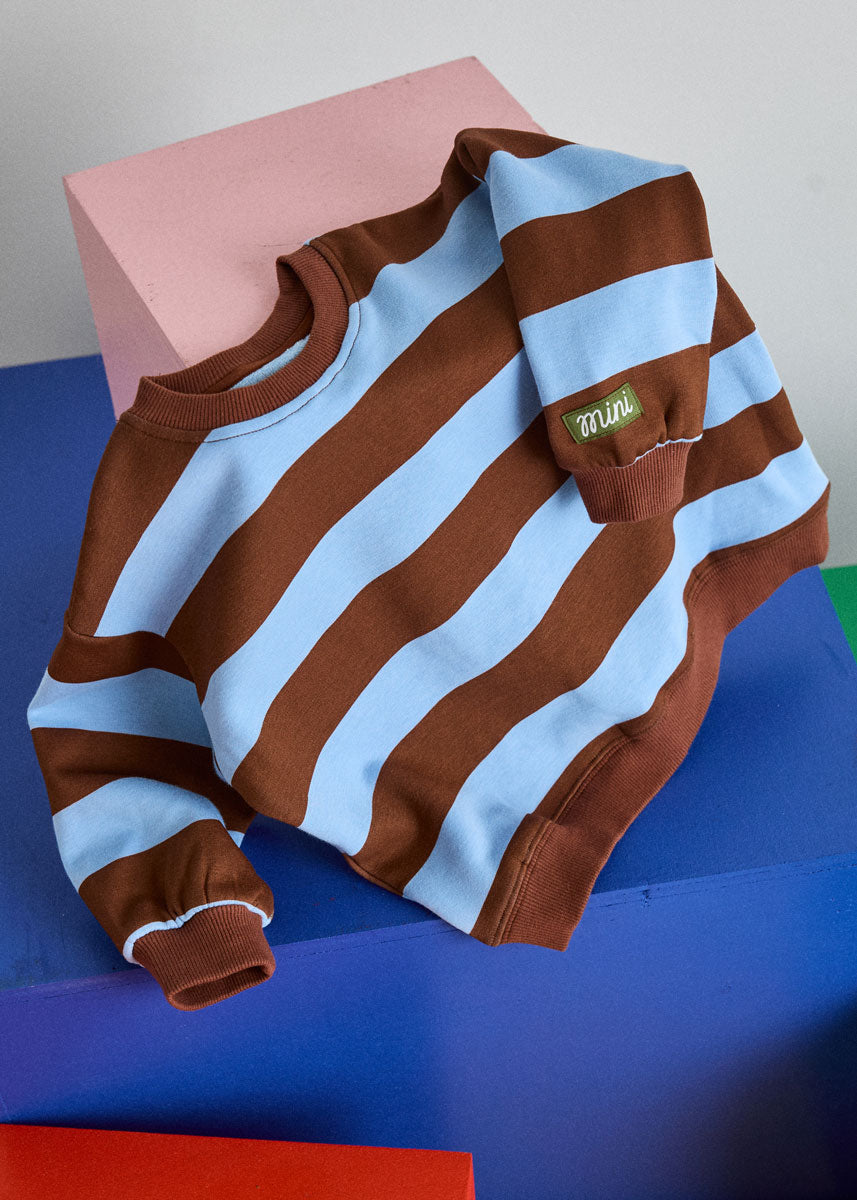 Striped Sweatshirt - Light Blue & Brown