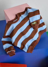 Striped Sweatshirt - Light Blue & Brown