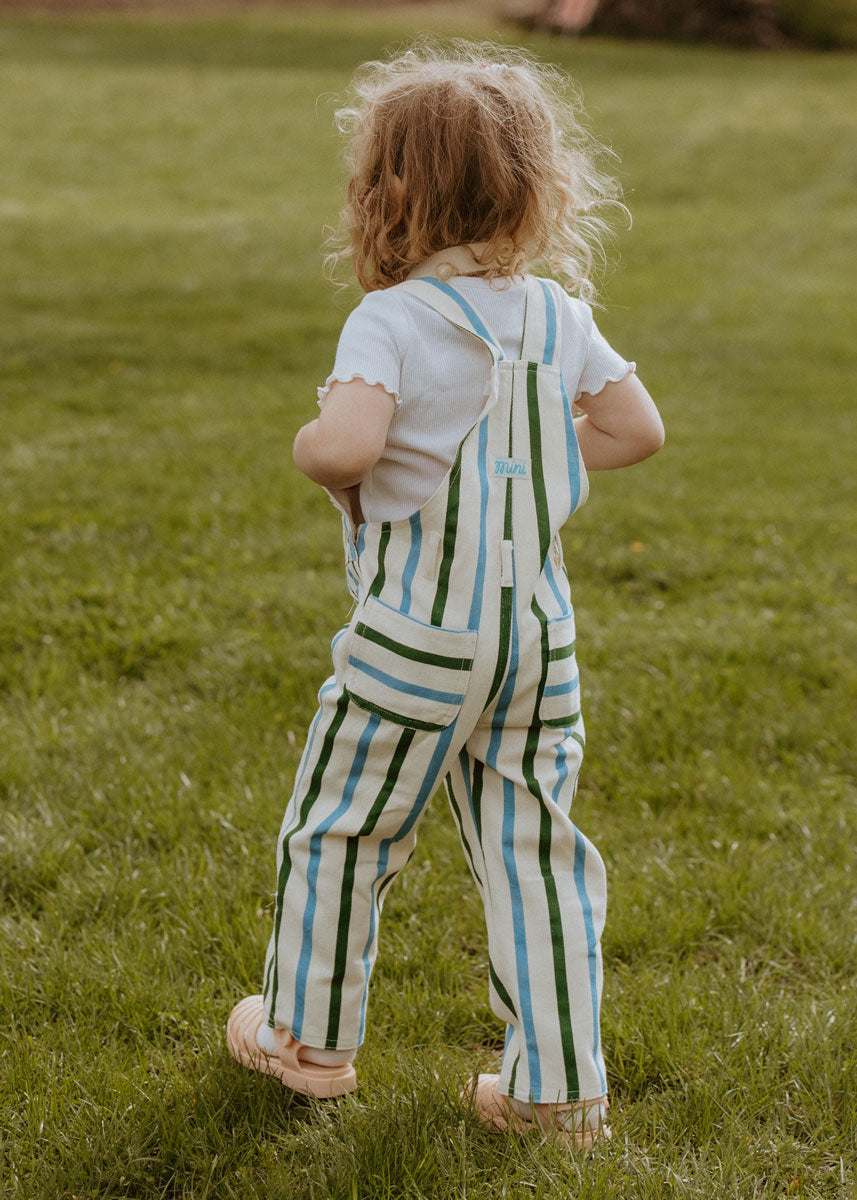 Striped Overalls - Blue & Green