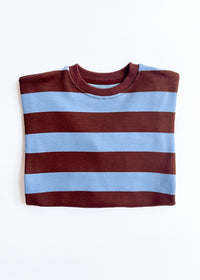 Striped Sweatshirt - Light Blue & Brown