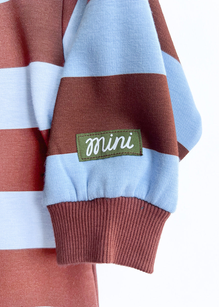 Striped Sweatshirt - Light Blue & Brown