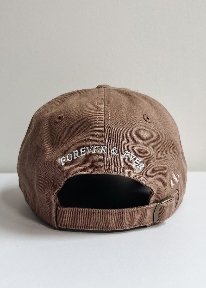 Chicago. Dad Hat - Espresso & Blue