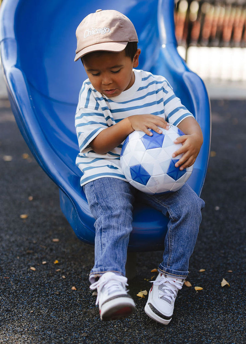 Toddler Chicago. Dad Hat - Espresso & Blue