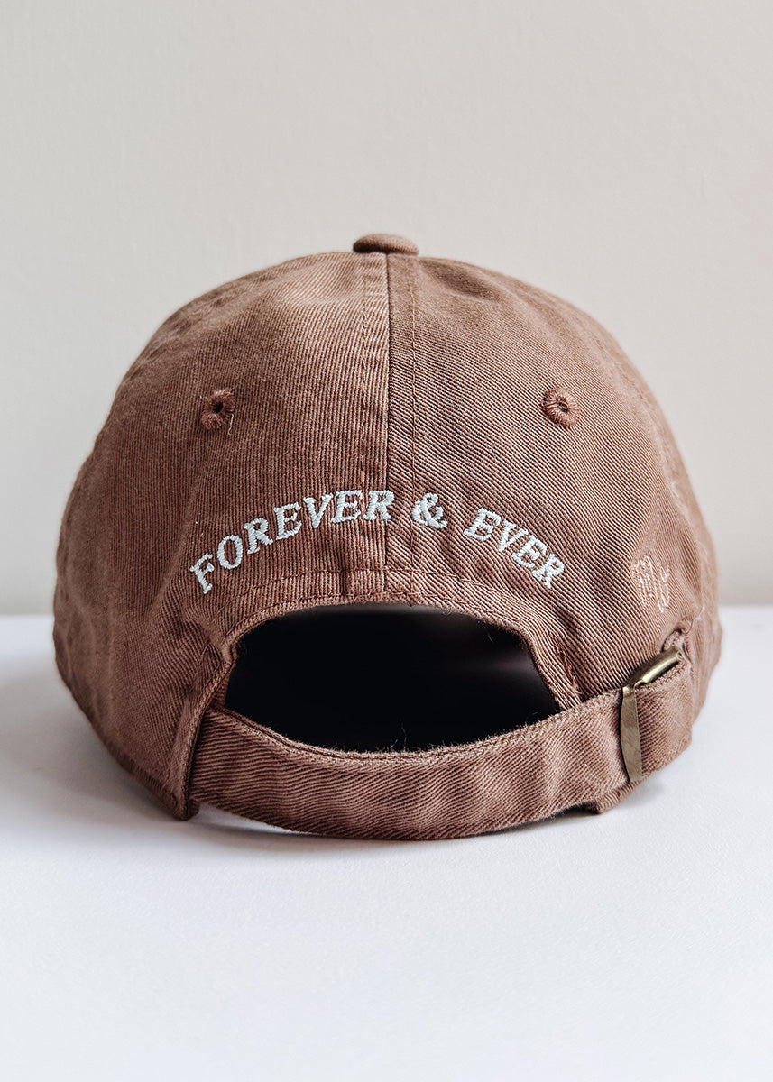 Toddler Chicago. Dad Hat - Espresso & Blue