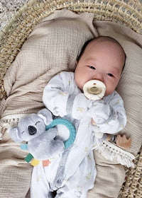 Ritzy Rattle Pal™ Plush Teether - Koala