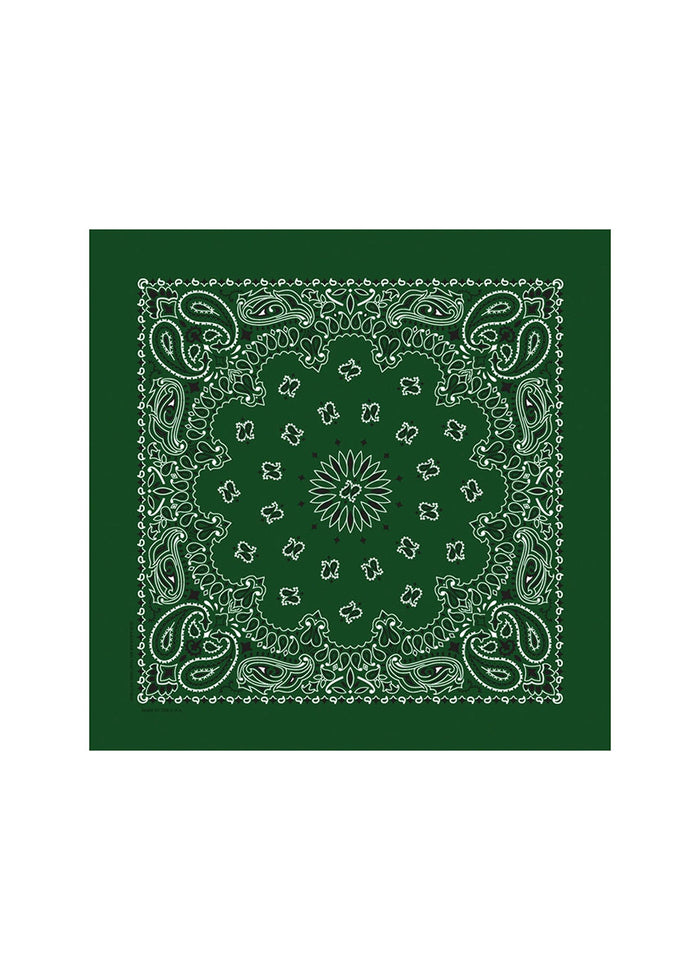 Embroidered Bandana - Hunter Paisley