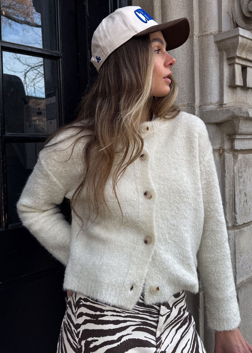 Chicago Puff Baseball Cap - Royal & Brown Suede