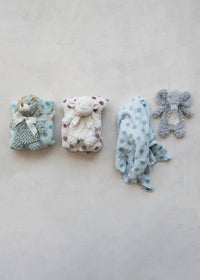 Polka Dot Baby Blanket & Plushie Set