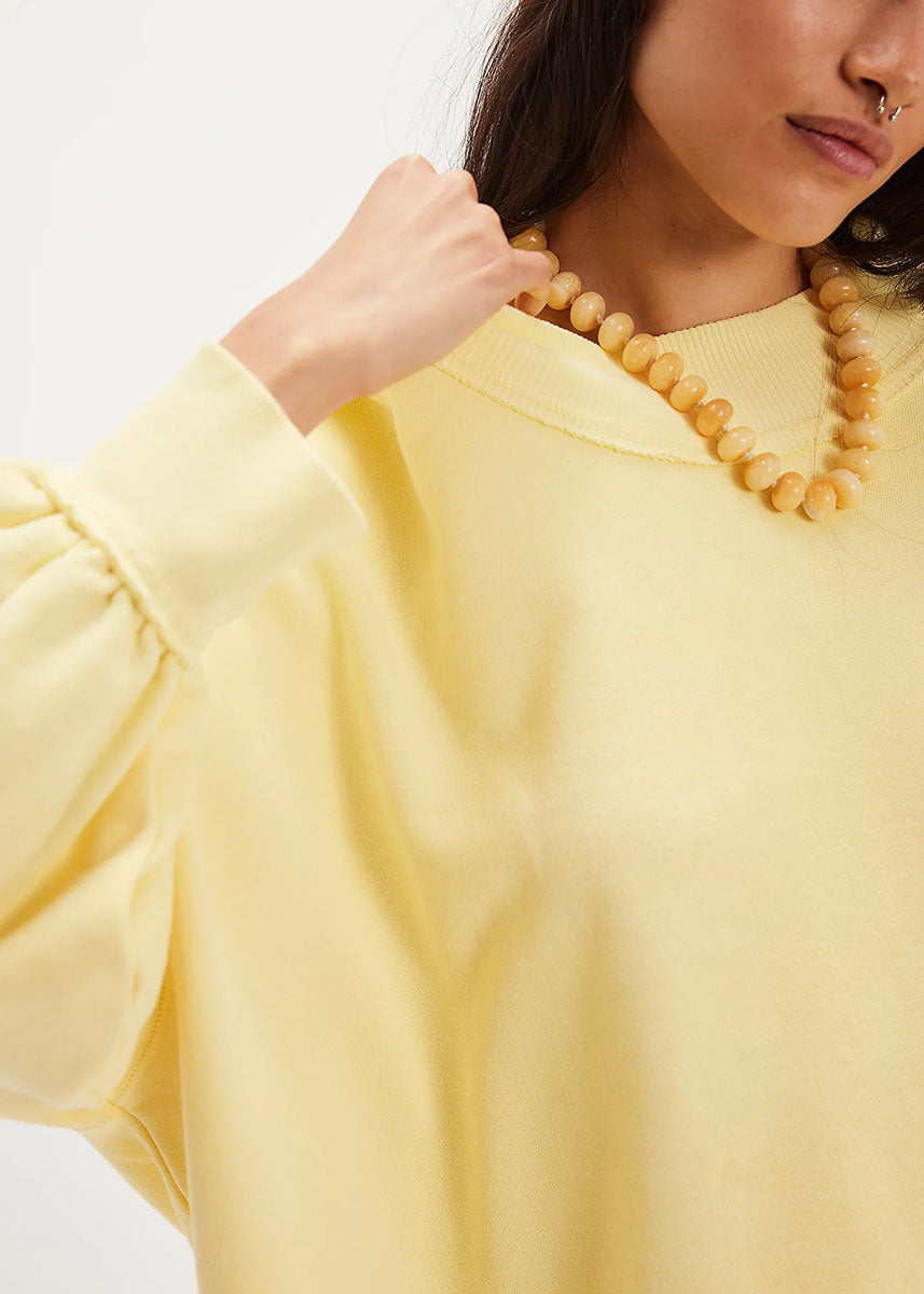 Palm Springs Turtle - Banana Cream