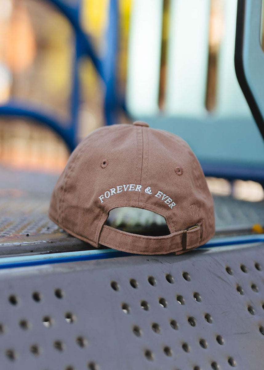 Toddler Chicago. Dad Hat - Espresso & Blue