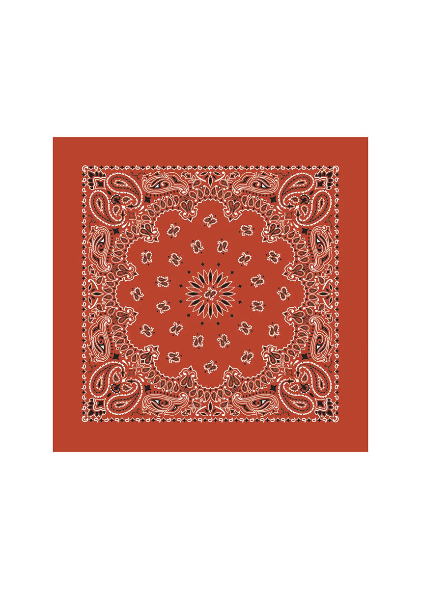 Embroidered Bandana - Terracotta Paisley