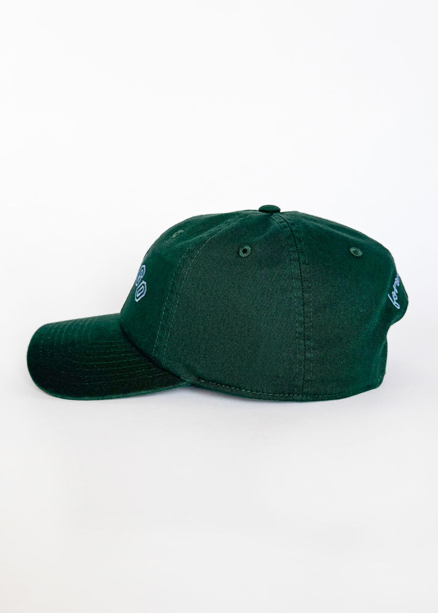 Chicago Arch Dad Hat - Green & Blue