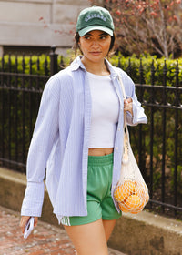 Chicago Arch Dad Hat - Green & Blue