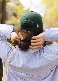 Chicago Arch Dad Hat - Green & Blue