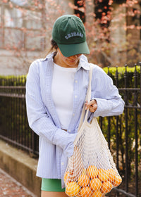 Chicago Arch Dad Hat - Green & Blue