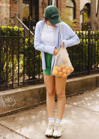 Chicago Arch Dad Hat - Green & Blue