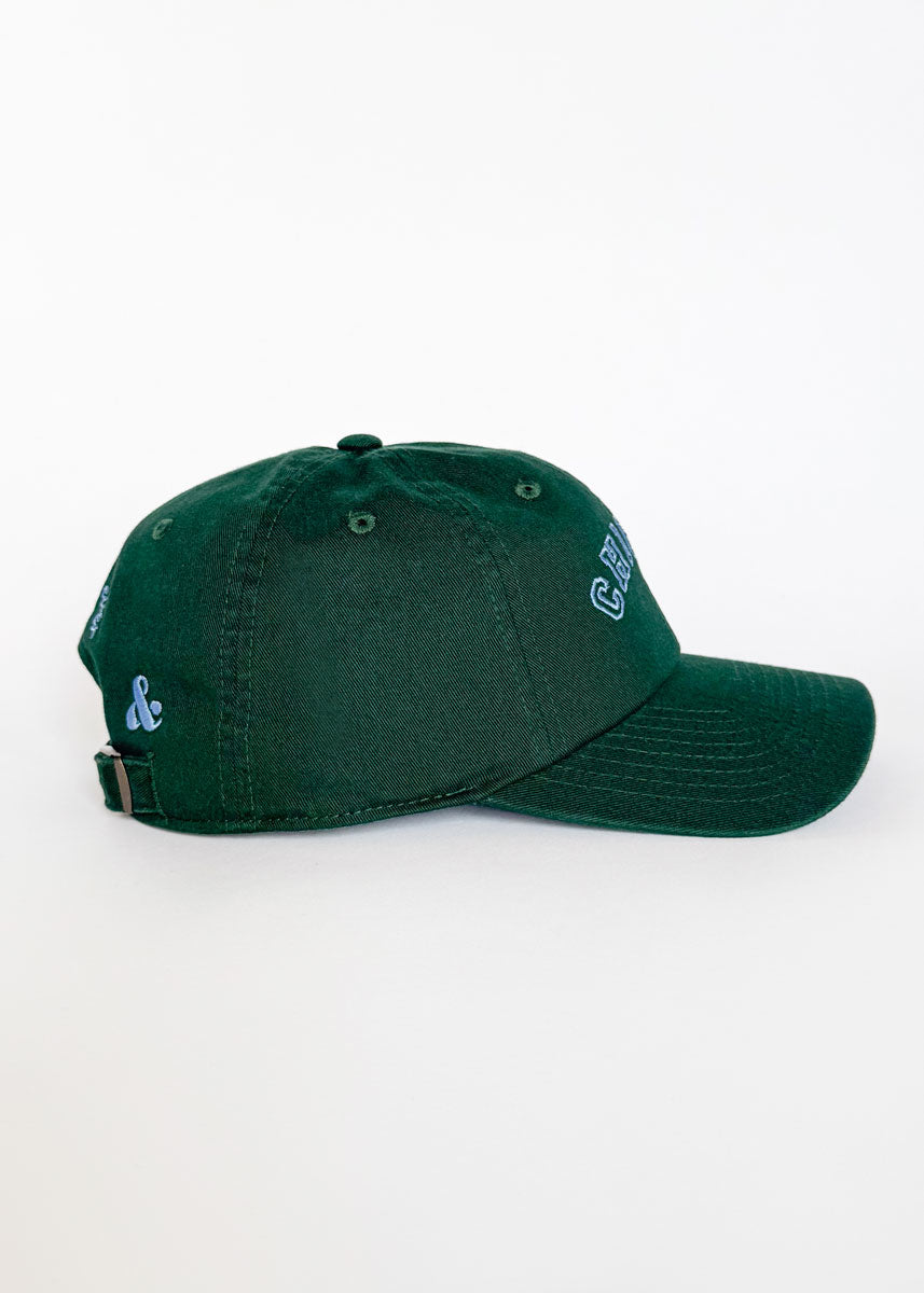 Chicago Arch Dad Hat - Green & Blue