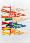 Stay Curious Pennant