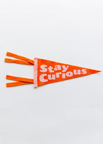 Stay Curious Pennant