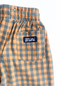 Gingham Stripe Pant - Blue & Orange