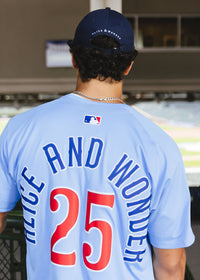 Chicago Cubs Vintage Logo Dad Hat - Navy