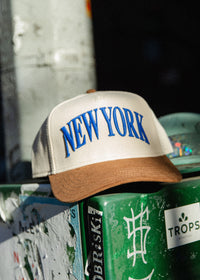 New York Puff Baseball Hat - Royal & Brown Suede