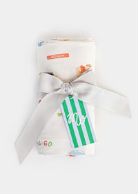 Chicago Field Trip Swaddle