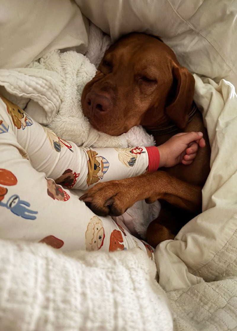 Mini Wonder x The Daily Tay Dog Loungewear Set