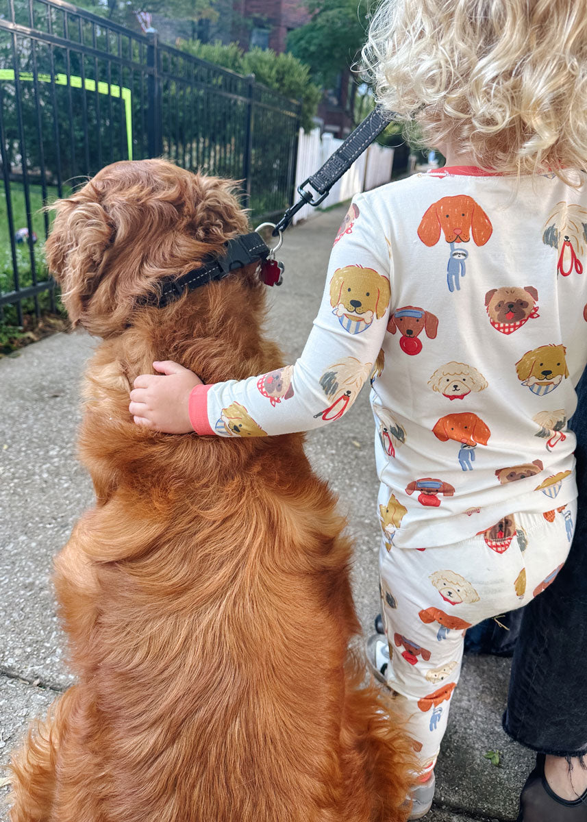 Mini Wonder x The Daily Tay Dog Loungewear Set