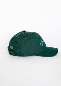 Toddler Chicago Arch Dad Hat - Green & Blue