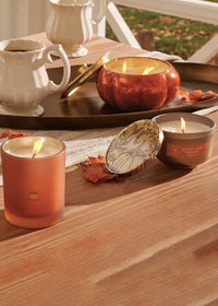Pumpkin Laurel Poured Candle - 6.5oz