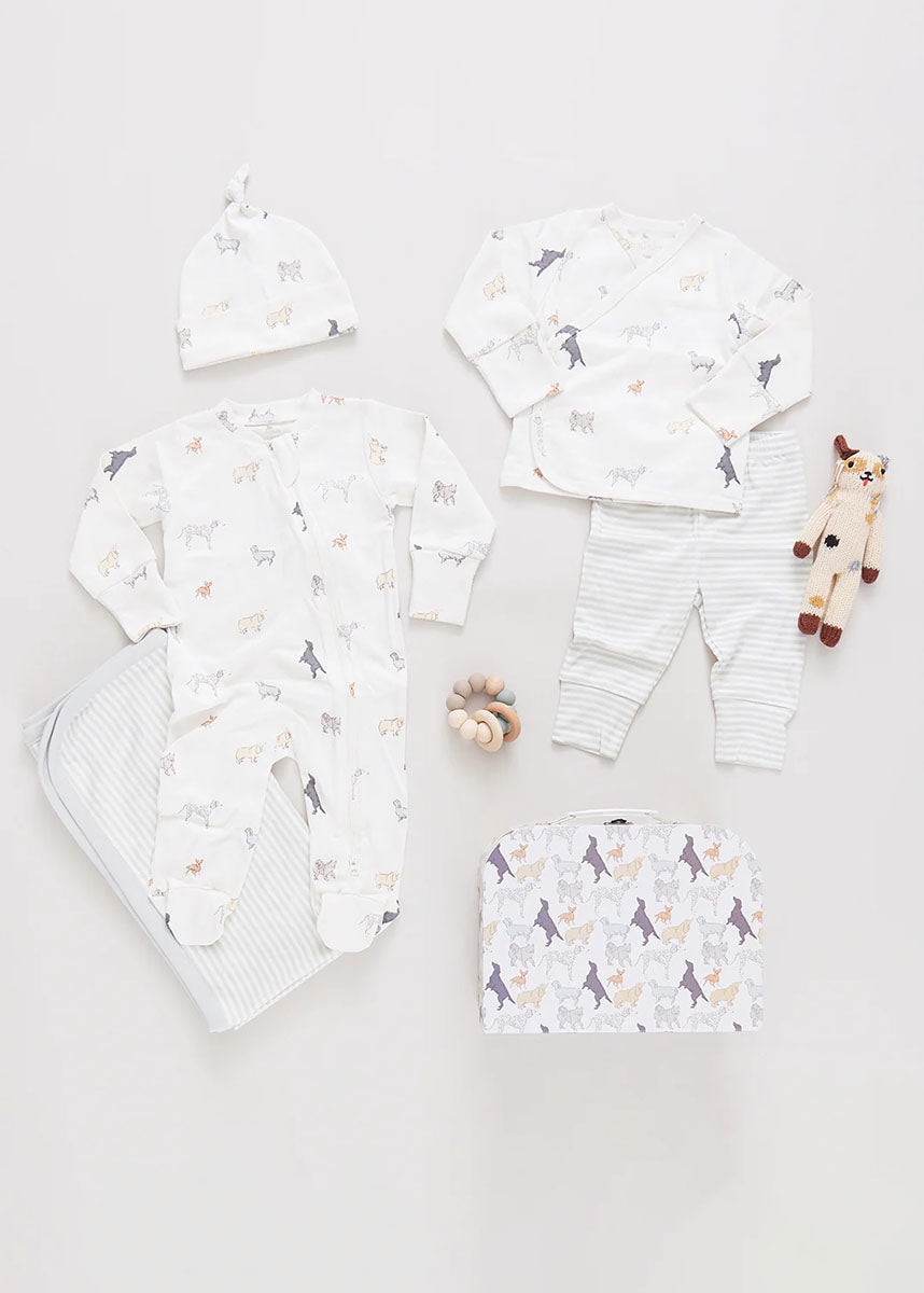 Nesting Box Baby Take Home Set - Tiny Dogs