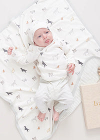 Nesting Box Baby Take Home Set - Tiny Dogs