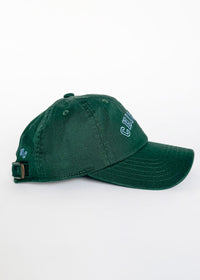 Youth Chicago Arch Dad Hat - Green & Blue