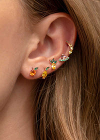 Tropical Fruit Basket Stud Set